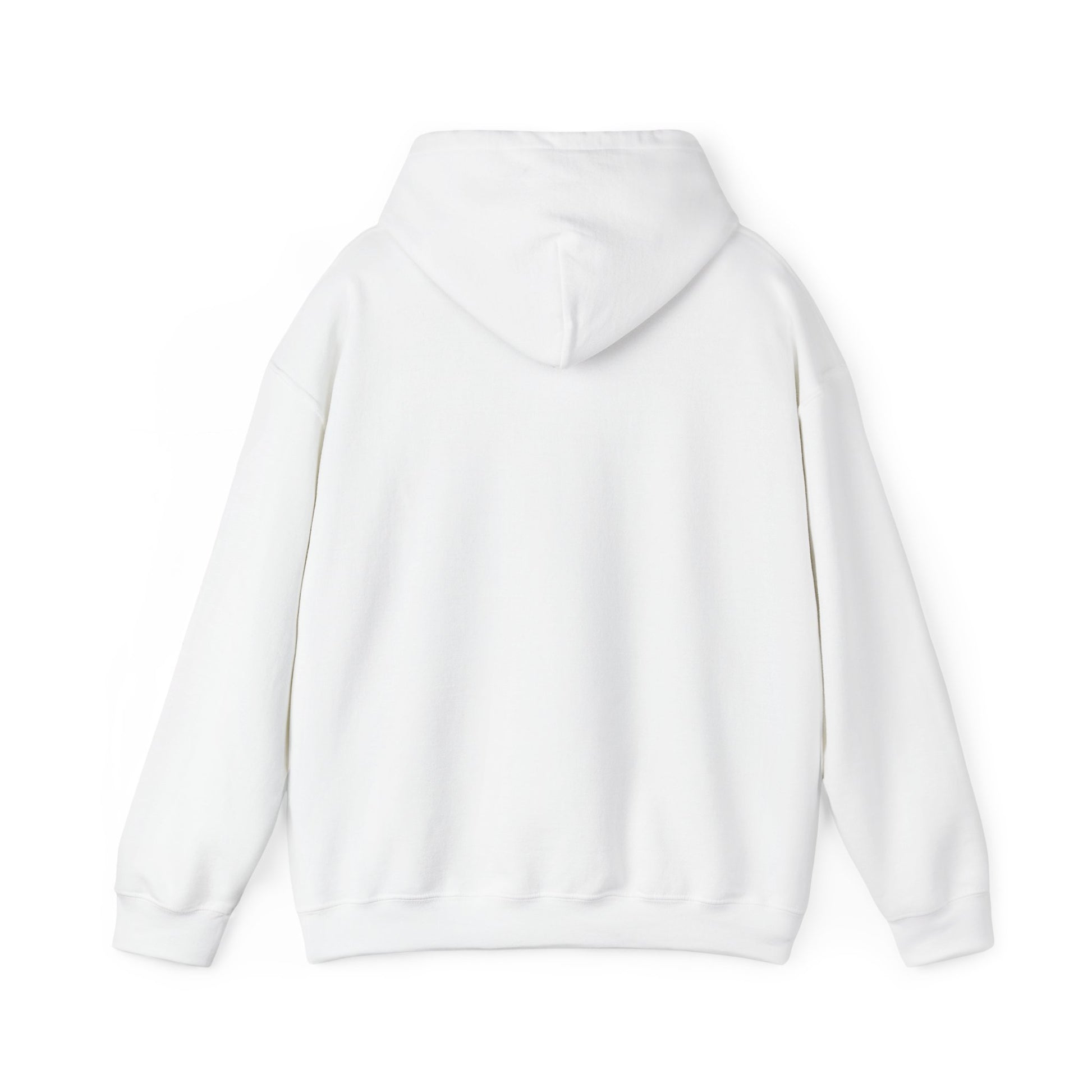 Anti-Oligarchy – Democracy Reform Hoodie