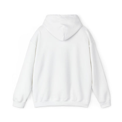 Anti-Oligarchy – Democracy Reform Hoodie