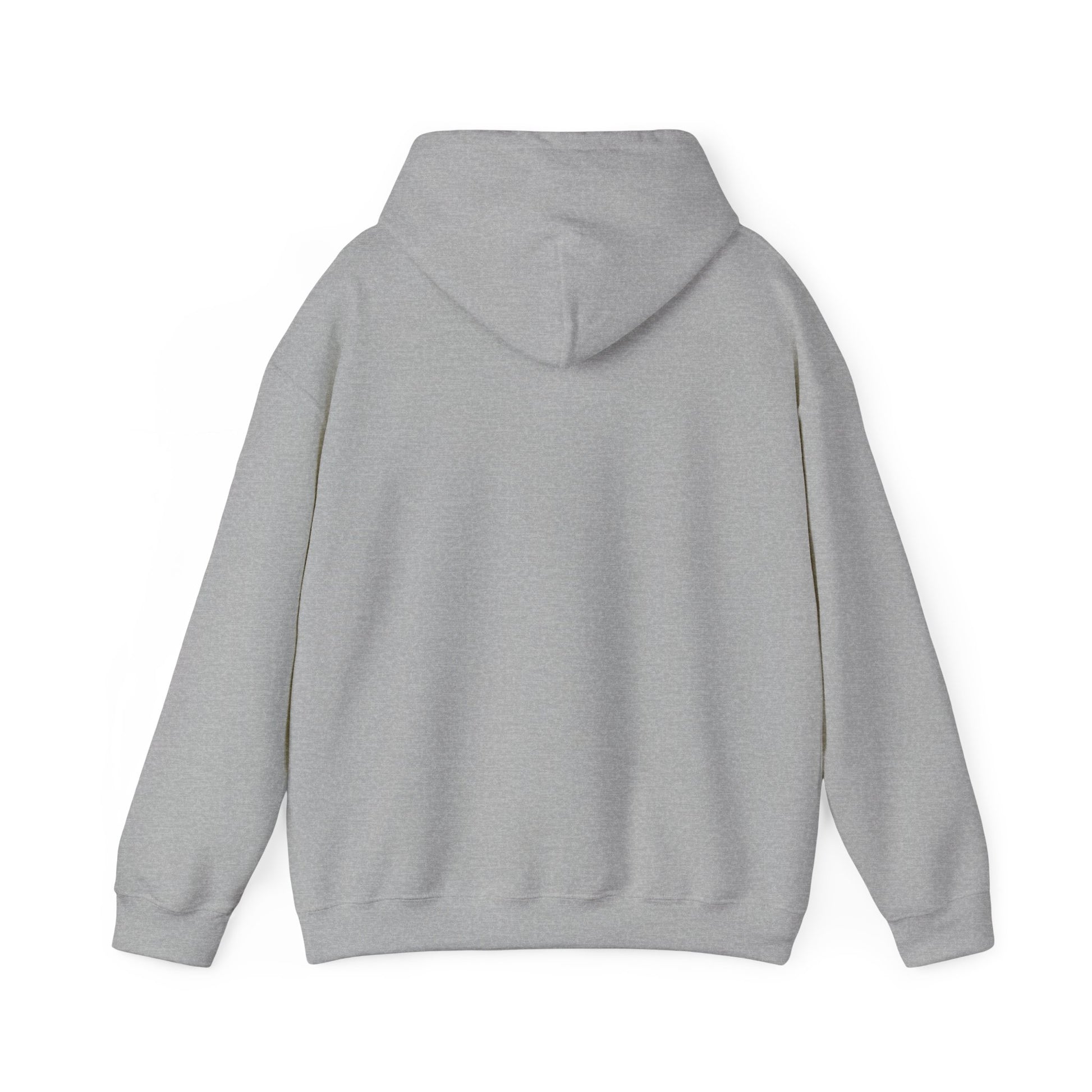 Anti-Oligarchy – Democracy Reform Hoodie