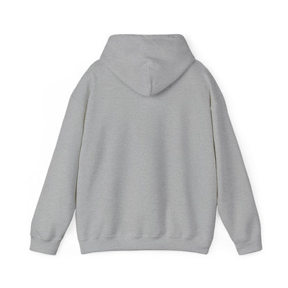 Anti-Oligarchy – Democracy Reform Hoodie