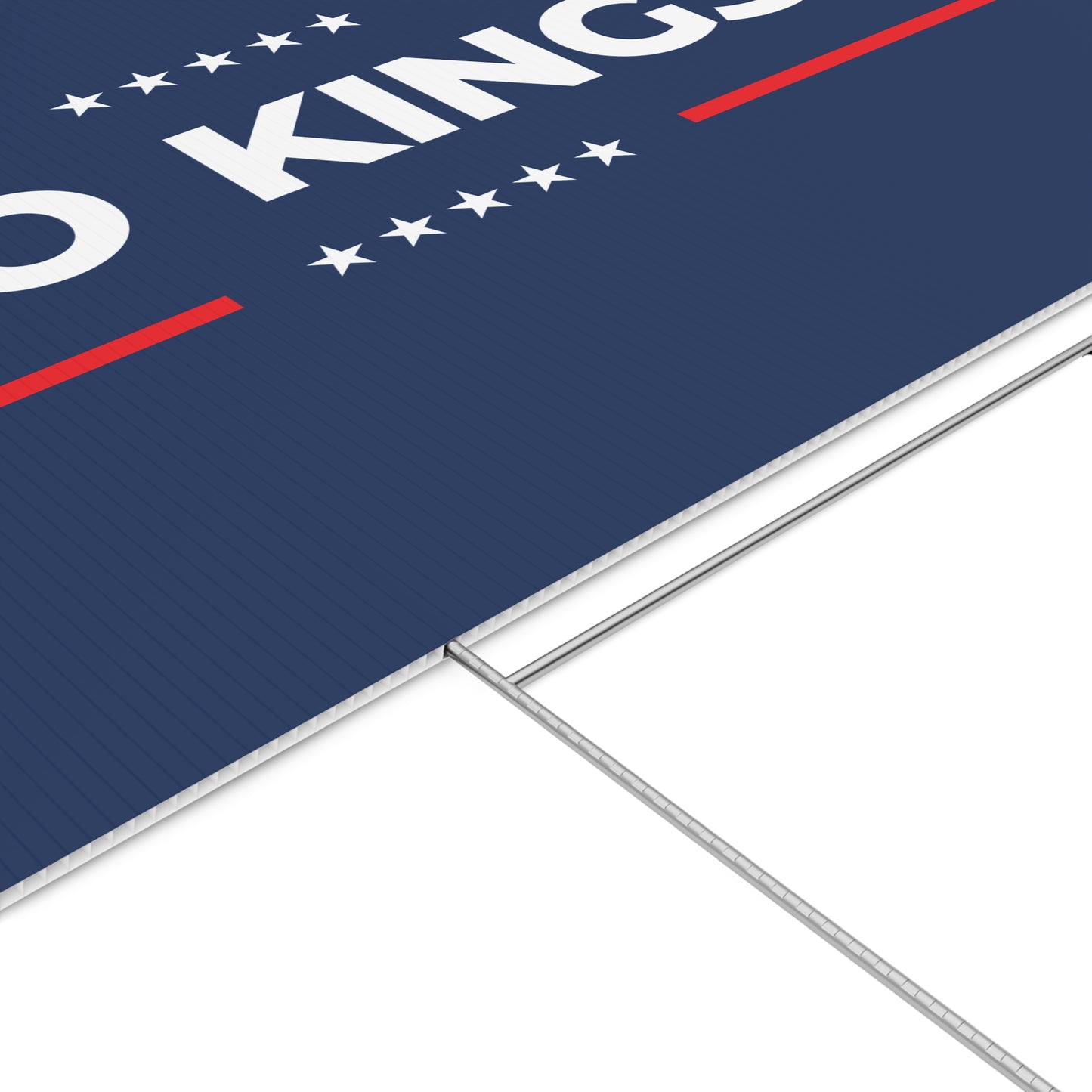 Copy of I Did Not Vote For This Lawn Sign — Anti Trump No Kings Protest Yard Sign
