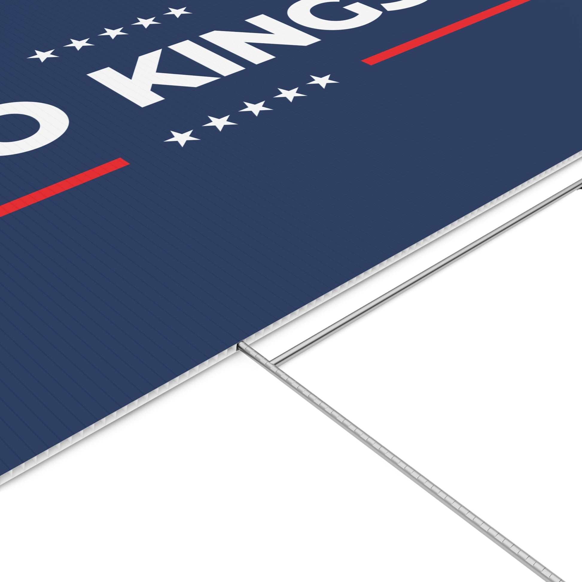 Copy of I Did Not Vote For This Lawn Sign — Anti Trump No Kings Protest Yard Sign