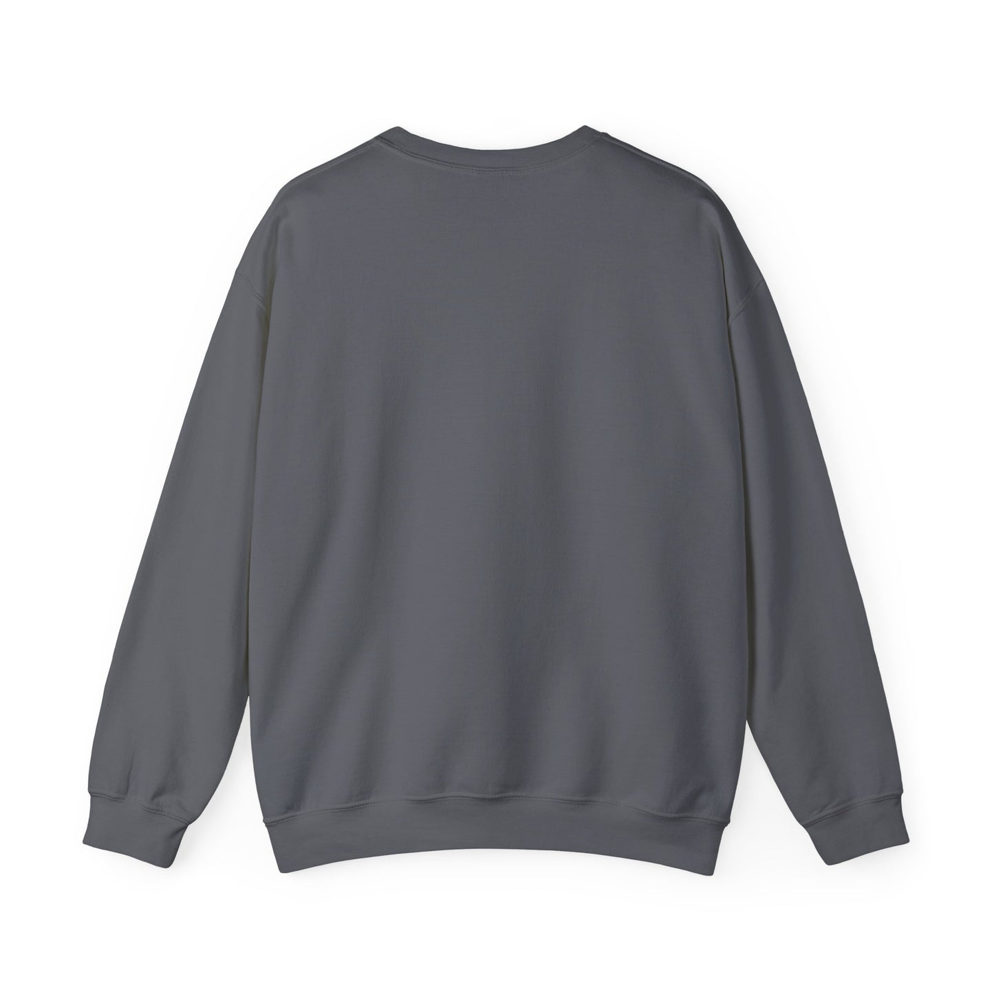 We The People – Pro-Democracy Empowerment Sweatshirt