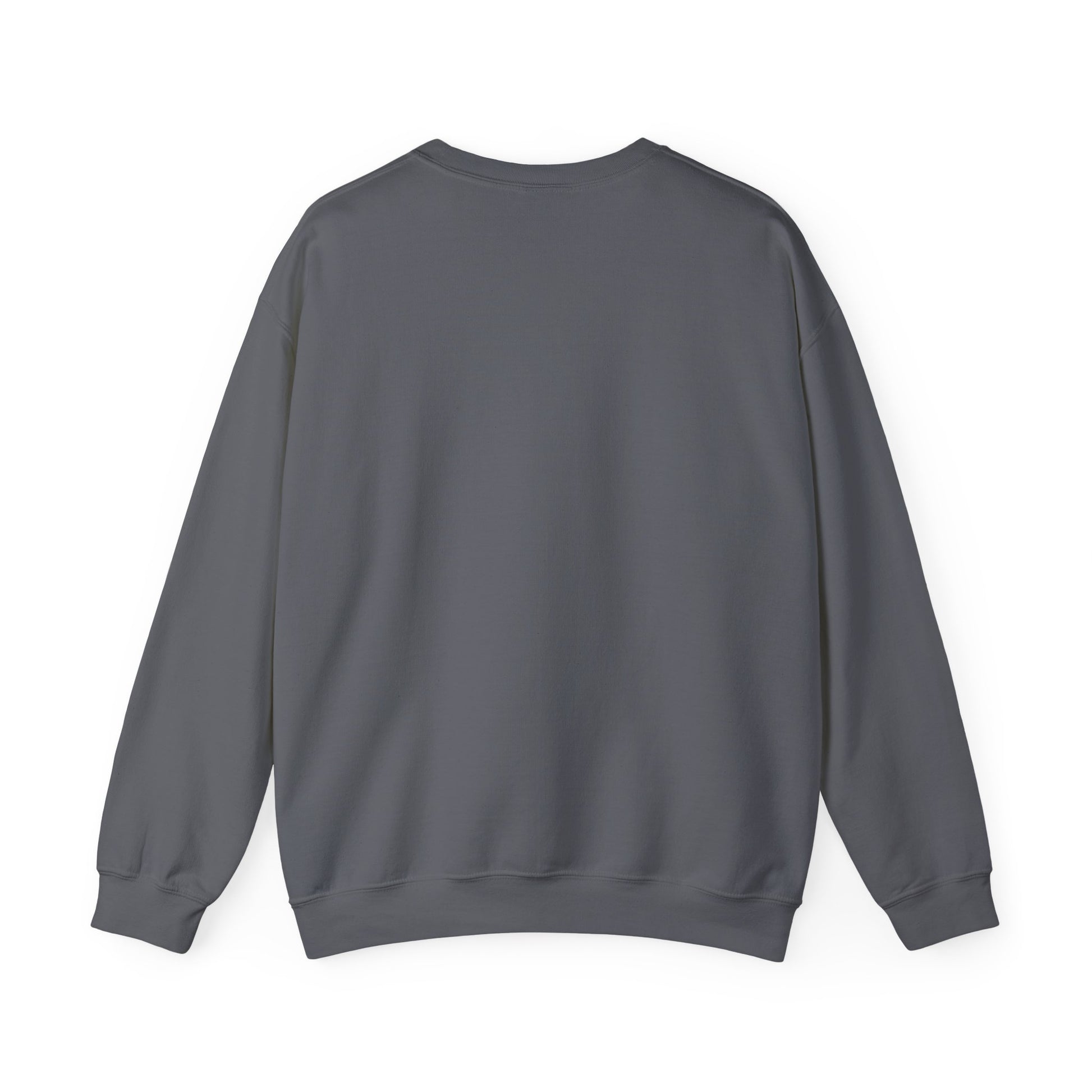 We The People – Pro-Democracy Empowerment Sweatshirt