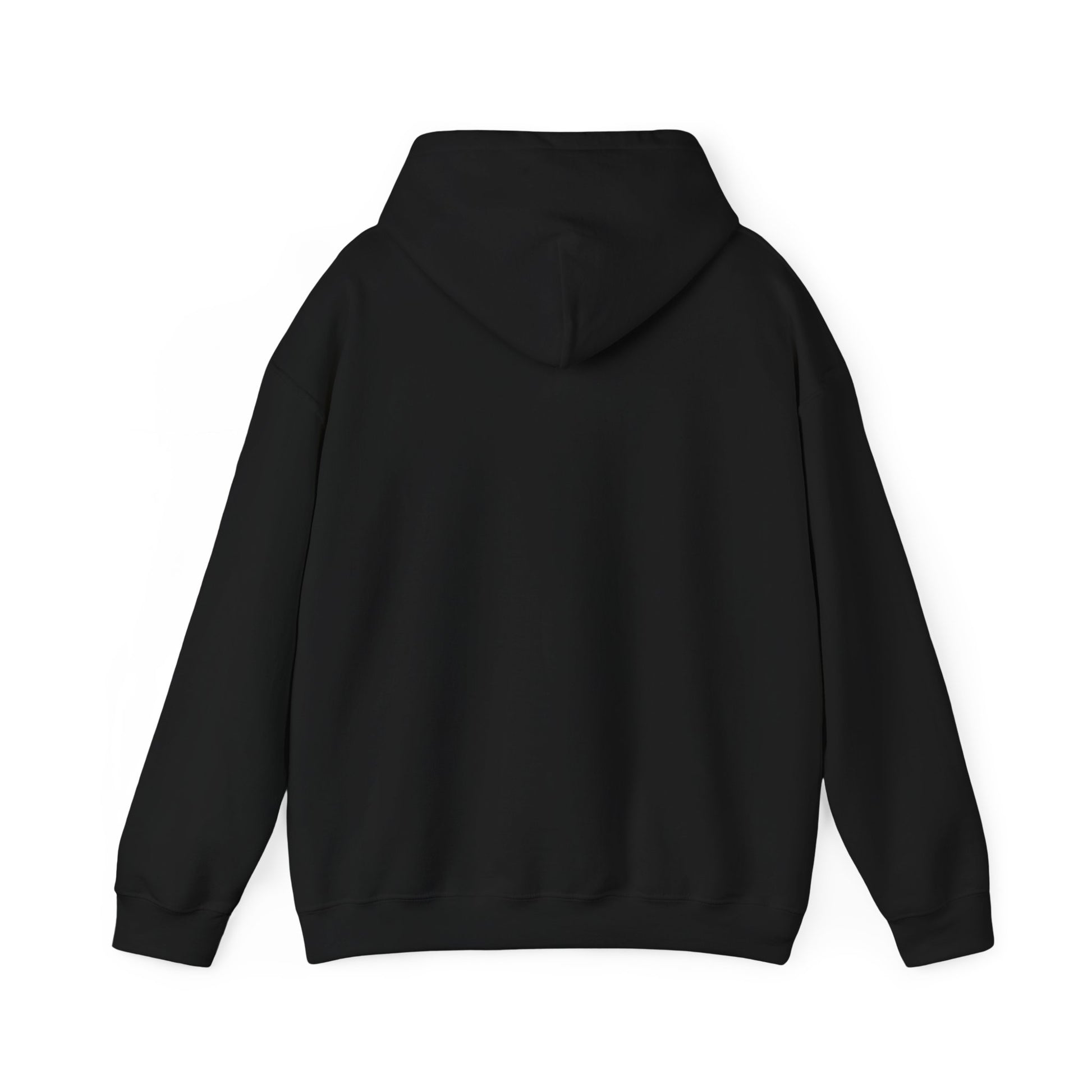 Oligarchs Out – Anti-Corruption Hoodie