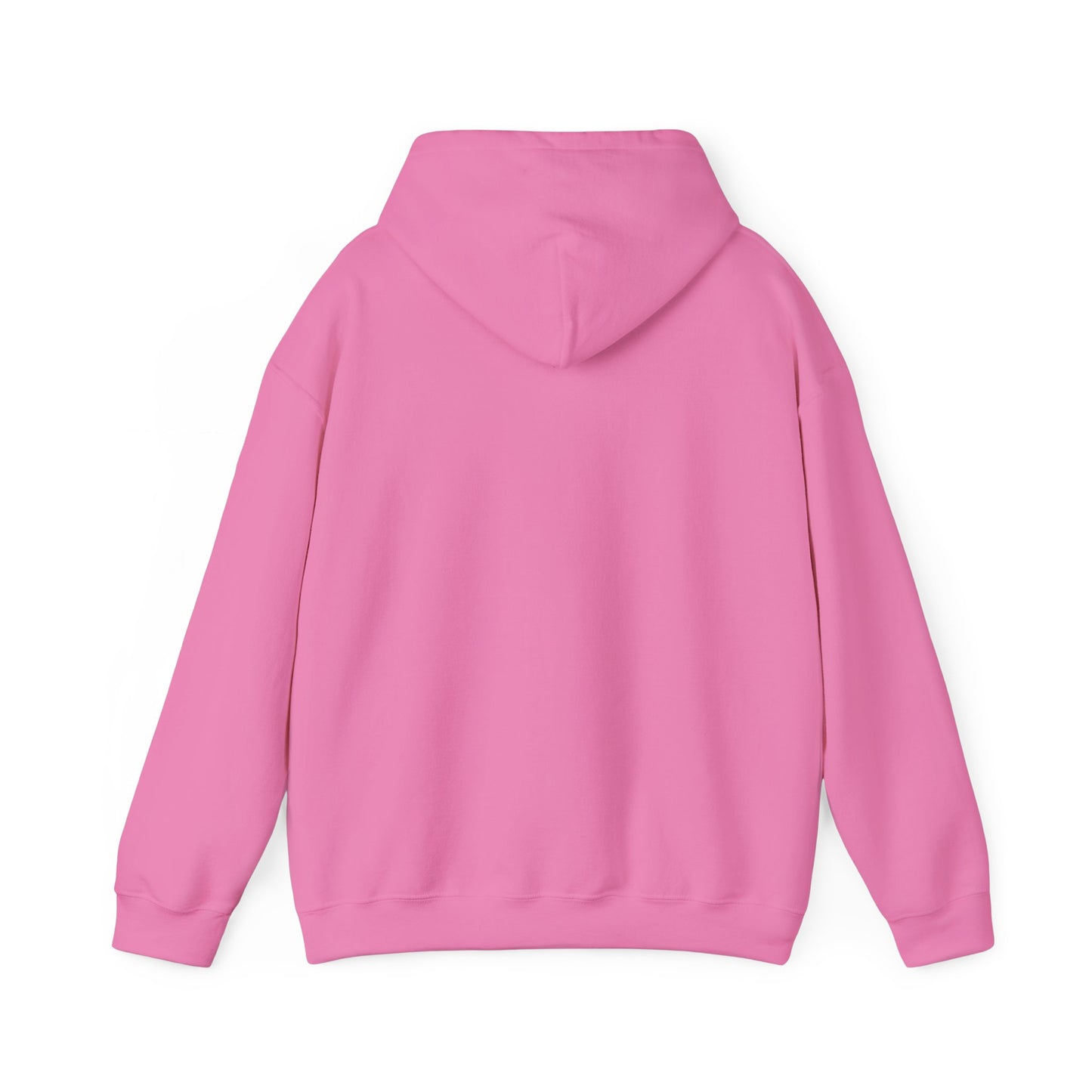 Sweat à capuche anti-nazi – Sweat-shirt unisexe de protestation antifasciste – Vêtements pour militants pro-démocratie pour les droits civiques et les mouvements politiques