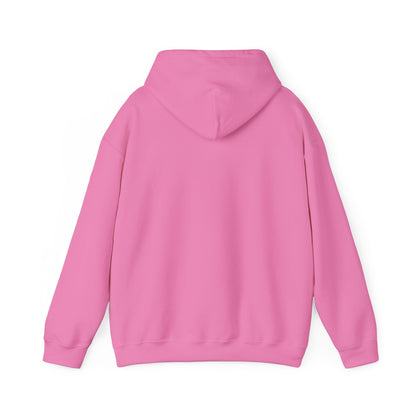 Sweat à capuche anti-nazi – Sweat-shirt unisexe de protestation antifasciste – Vêtements pour militants pro-démocratie pour les droits civiques et les mouvements politiques