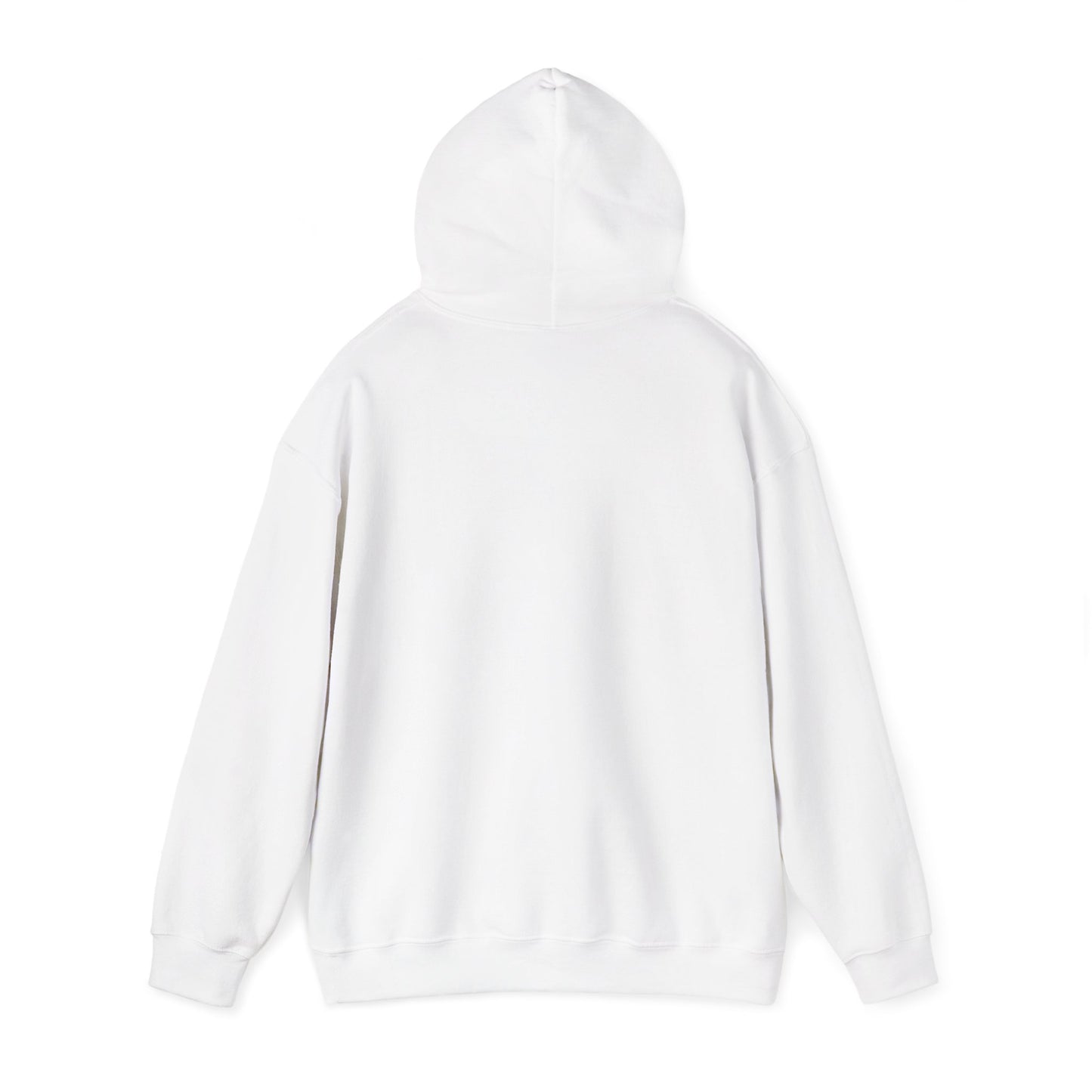 Anti-Oligarchy – Democracy Reform Hoodie