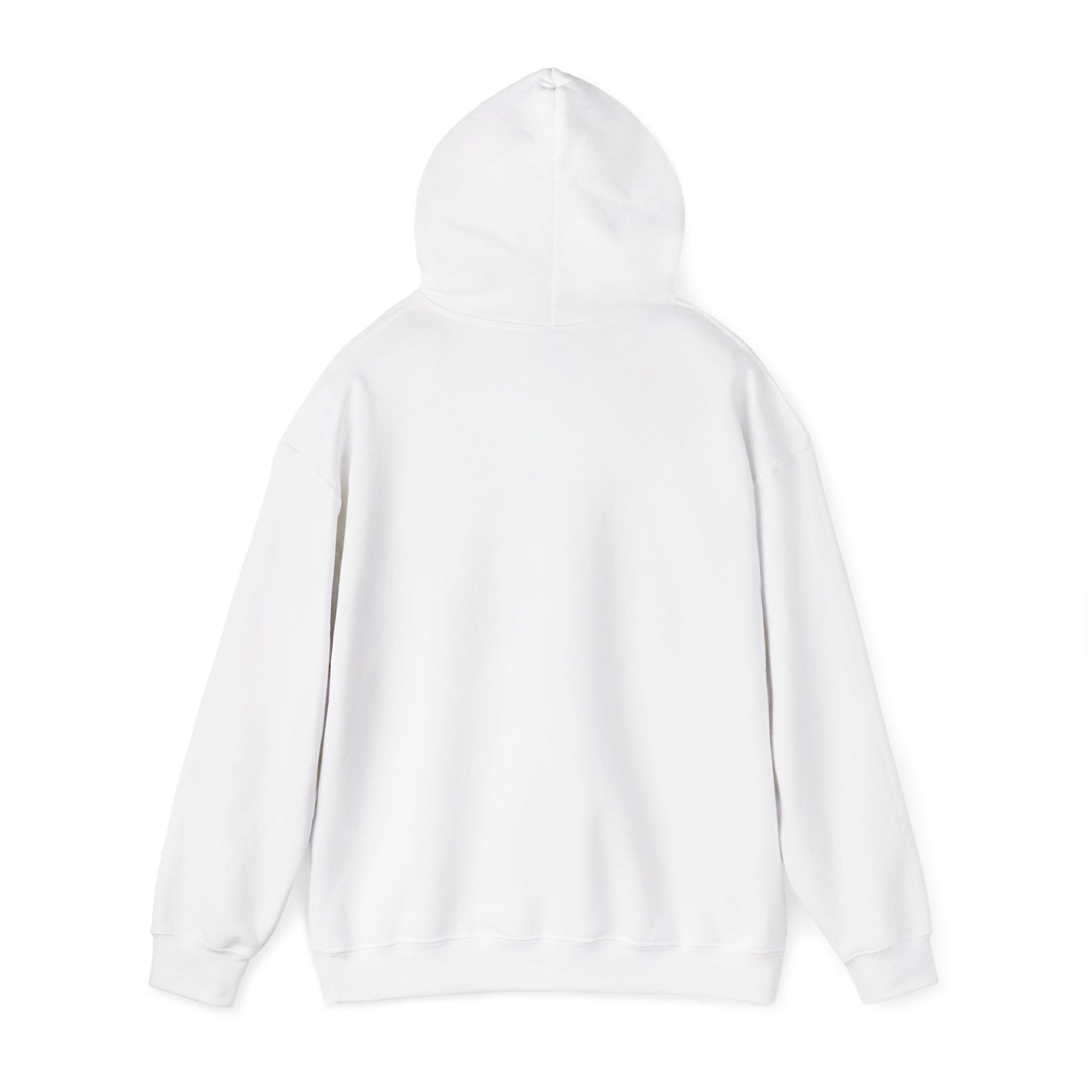 Anti-Oligarchy – Democracy Reform Hoodie
