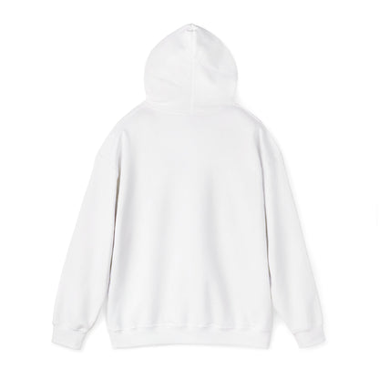 Anti-Oligarchy – Democracy Reform Hoodie