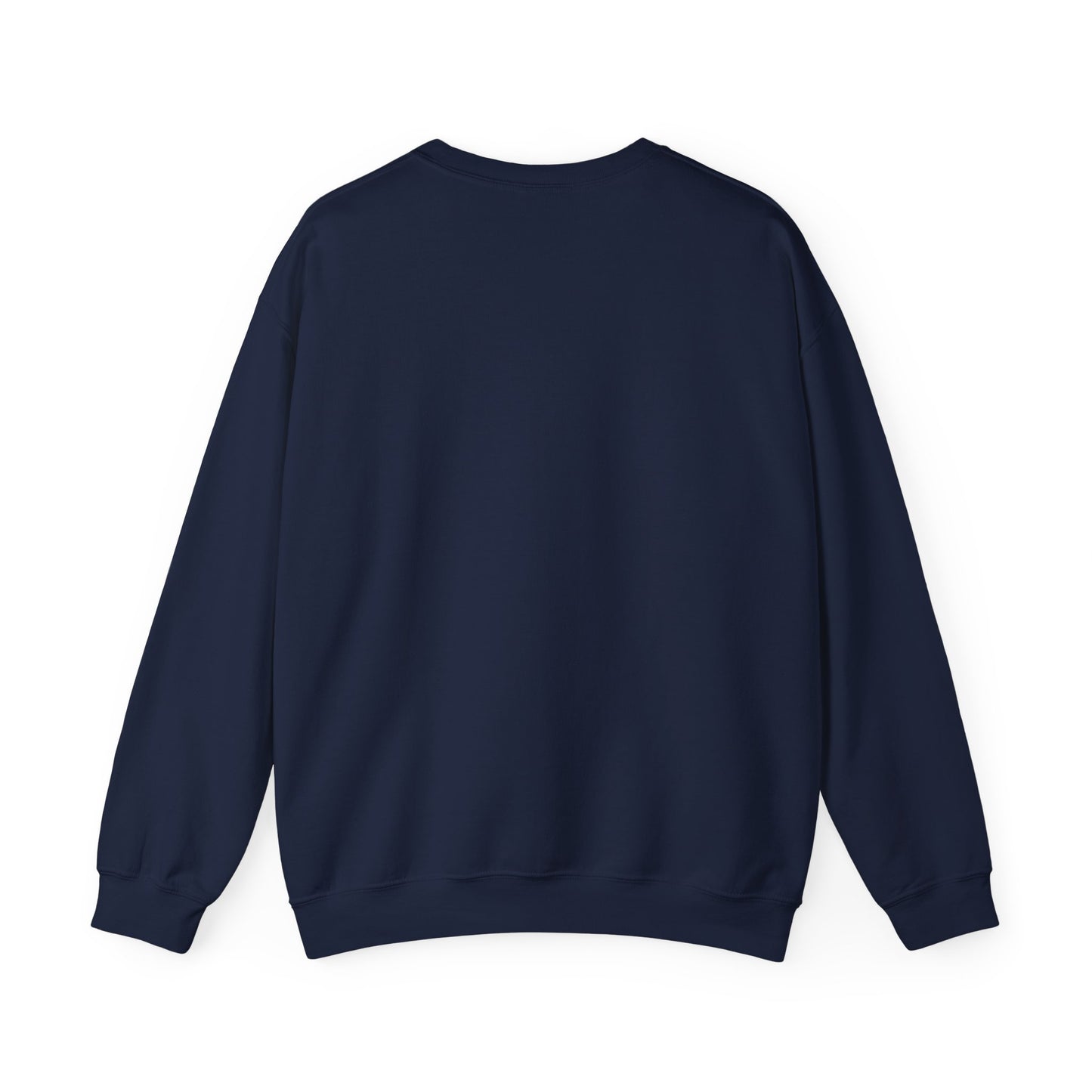 We The People – Pro-Democracy Empowerment Sweatshirt