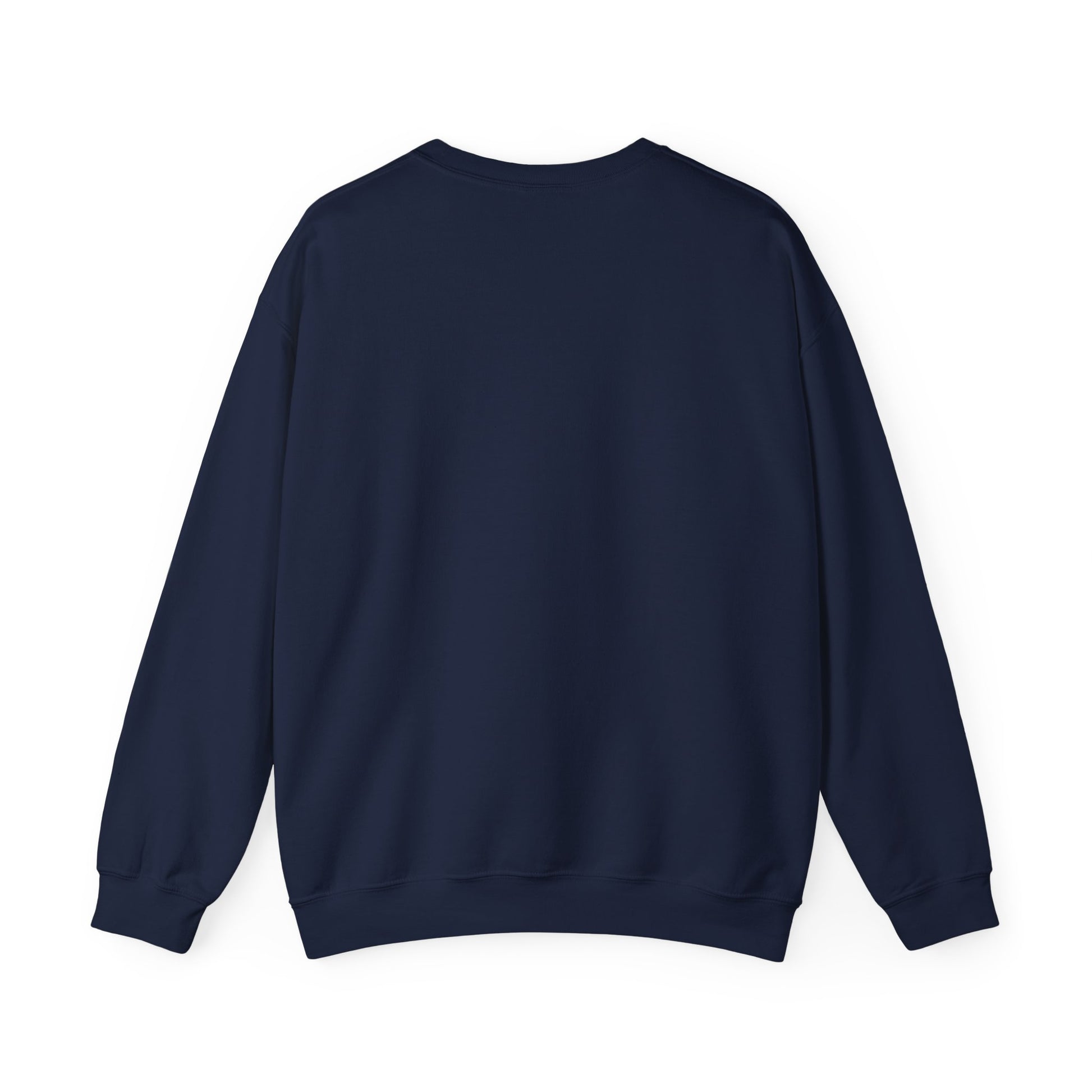 We The People – Pro-Democracy Empowerment Sweatshirt