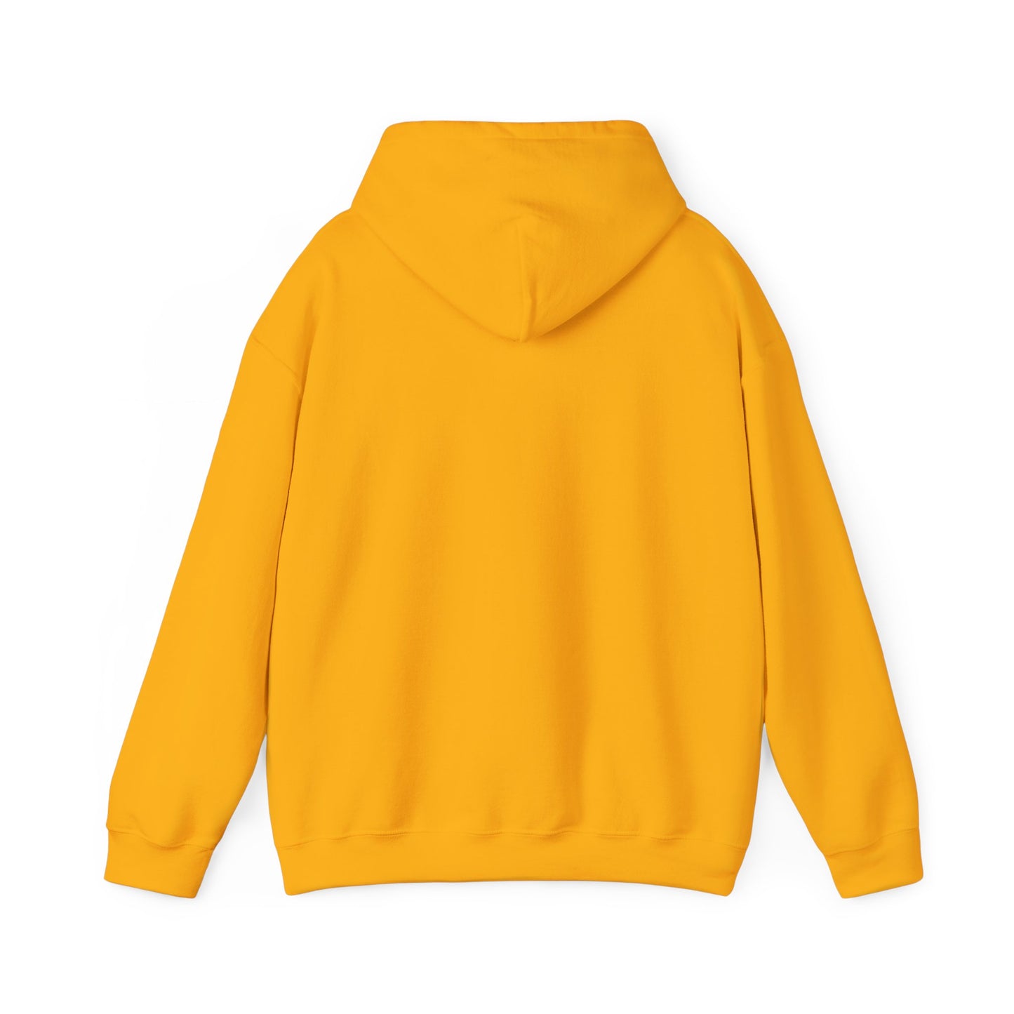 Oligarchs Out – Anti-Corruption Hoodie