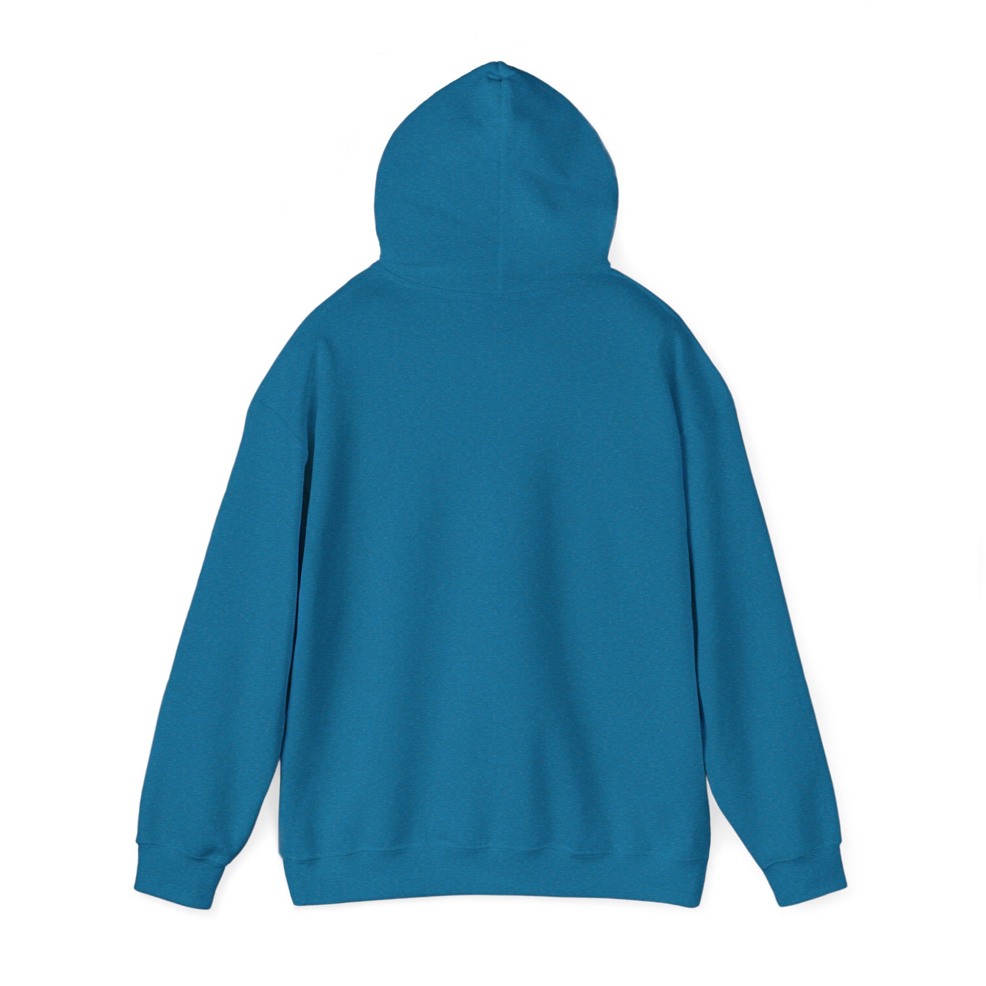 Hoodie - Democracy Is Not For Sale - Free Oppression
