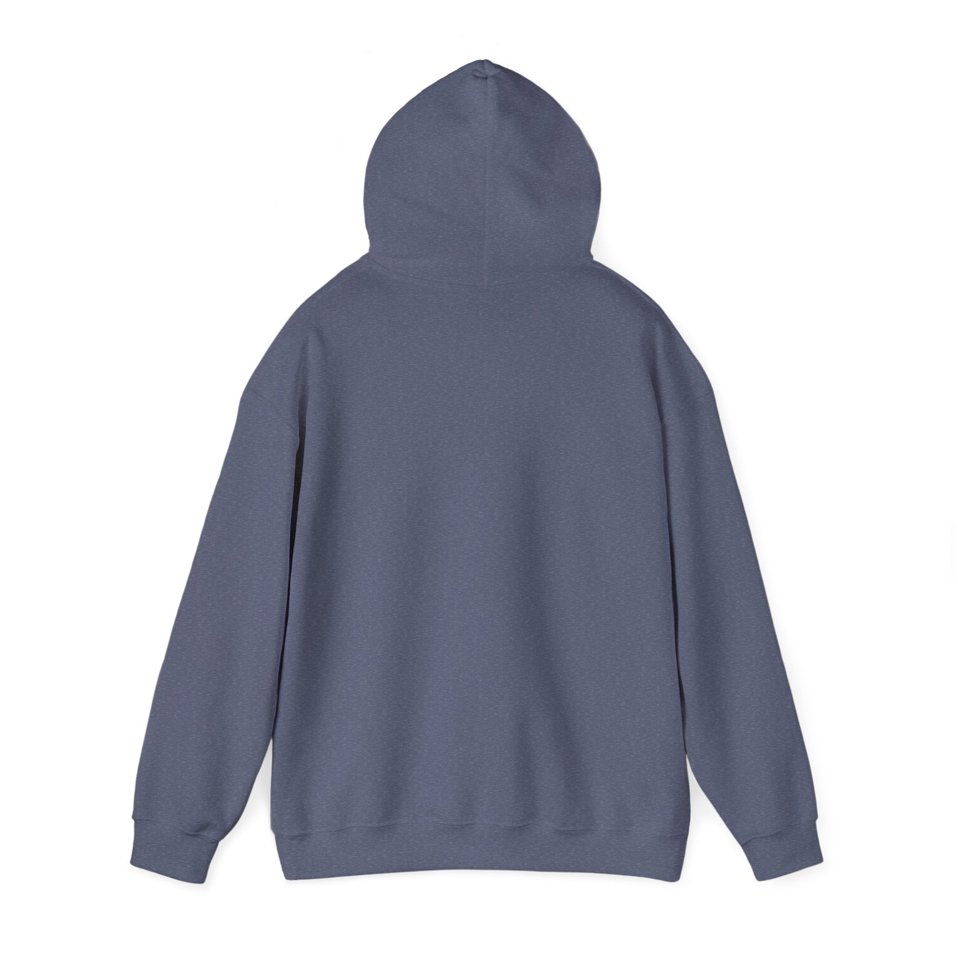 Hoodie - Democracy Is Not For Sale - Free Oppression