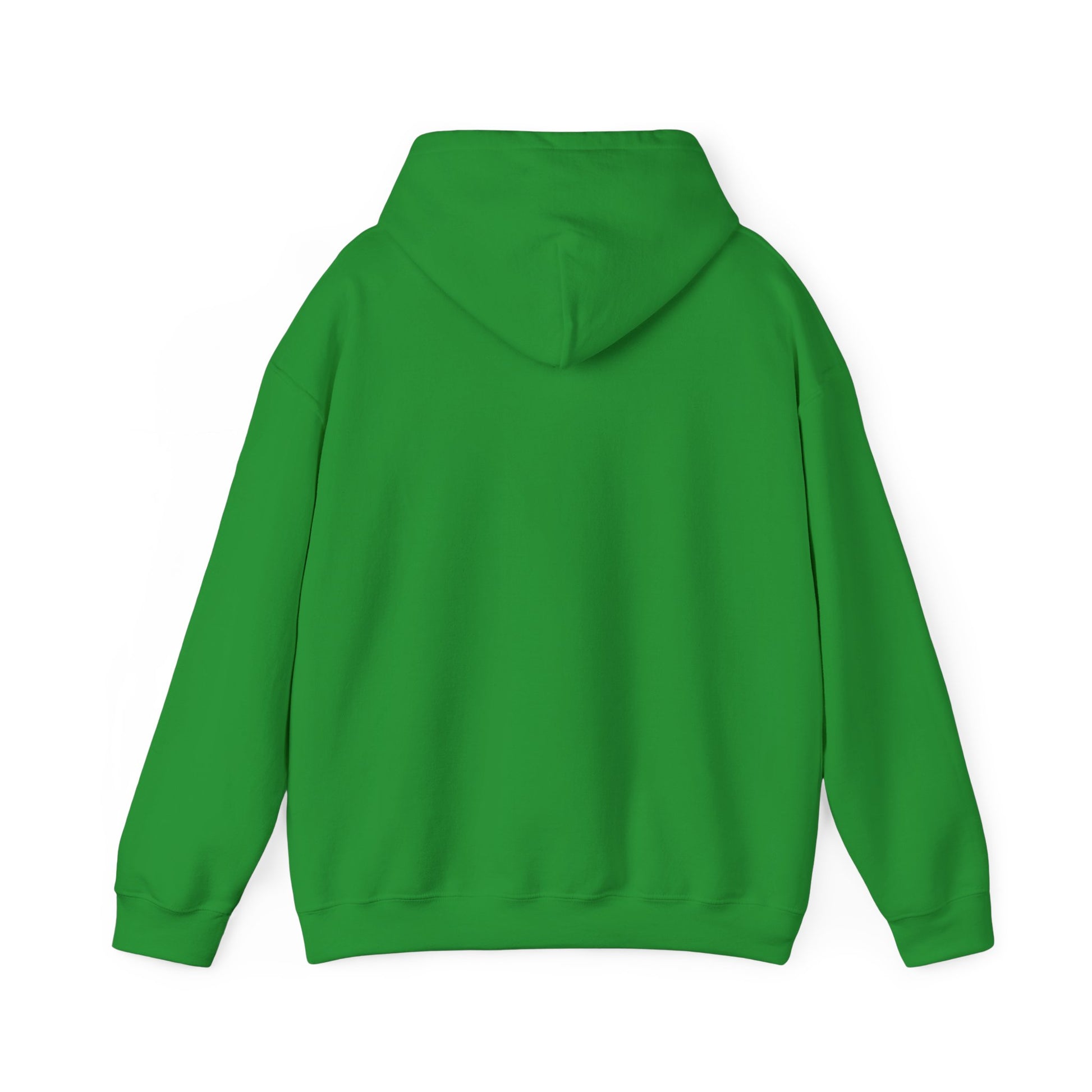 Hoodie - Democracy Is Not For Sale - Free Oppression