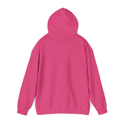 Anti-Oligarchy – Democracy Reform Hoodie