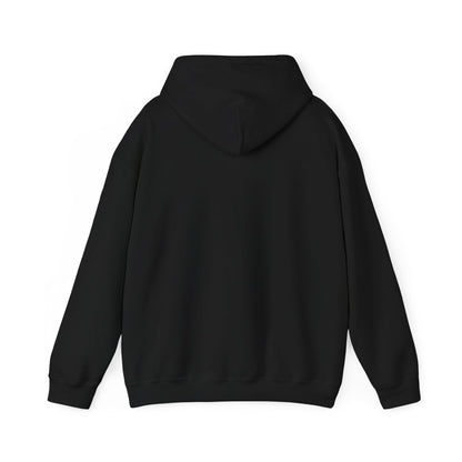 Anti-Oligarchy – Democracy Reform Hoodie