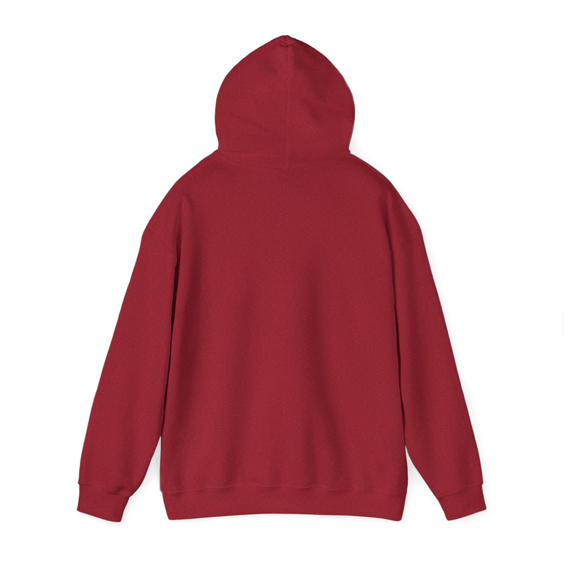 Hoodie - Democracy Is Not For Sale - Free Oppression