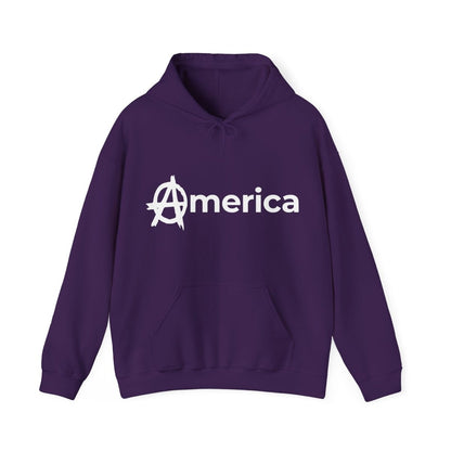 Free Oppression - Hoodie - America for All – Pro - Democracy Unity Hoodie
