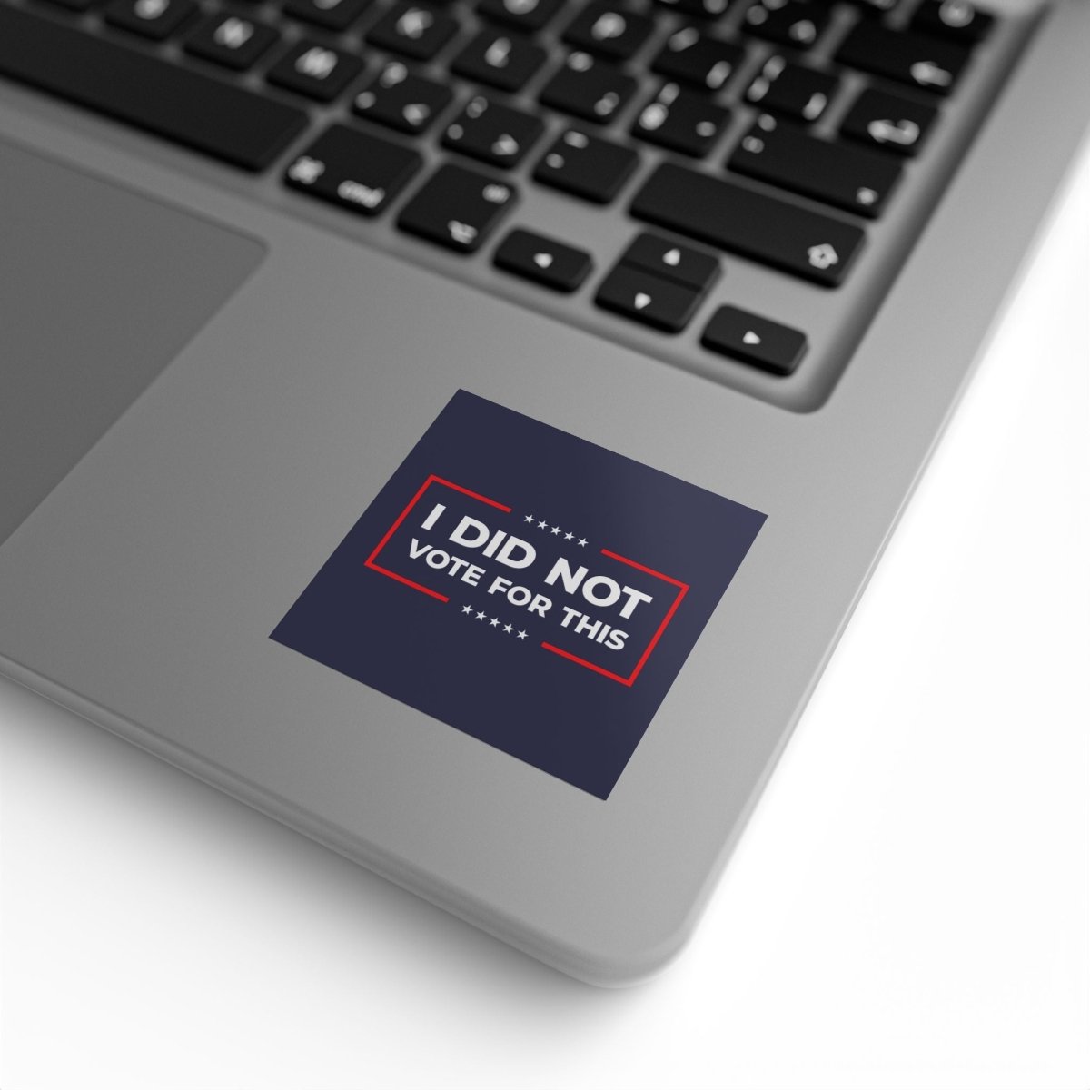 Free Oppression - Sticker Roll - I Did Not Vote For This - Square Vinyl Sticker Label Rolls - Anti Trump Protest "No Kings" Antifascist Decals